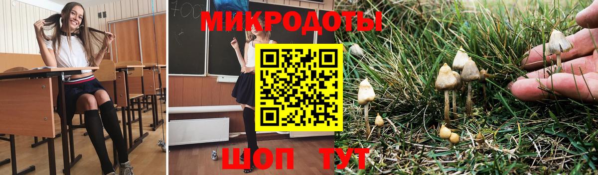 Псилоцибиновые грибы мицелий  Вход с VPN  Полысаево 